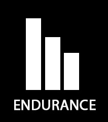 Endurance